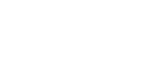 demis group logo
